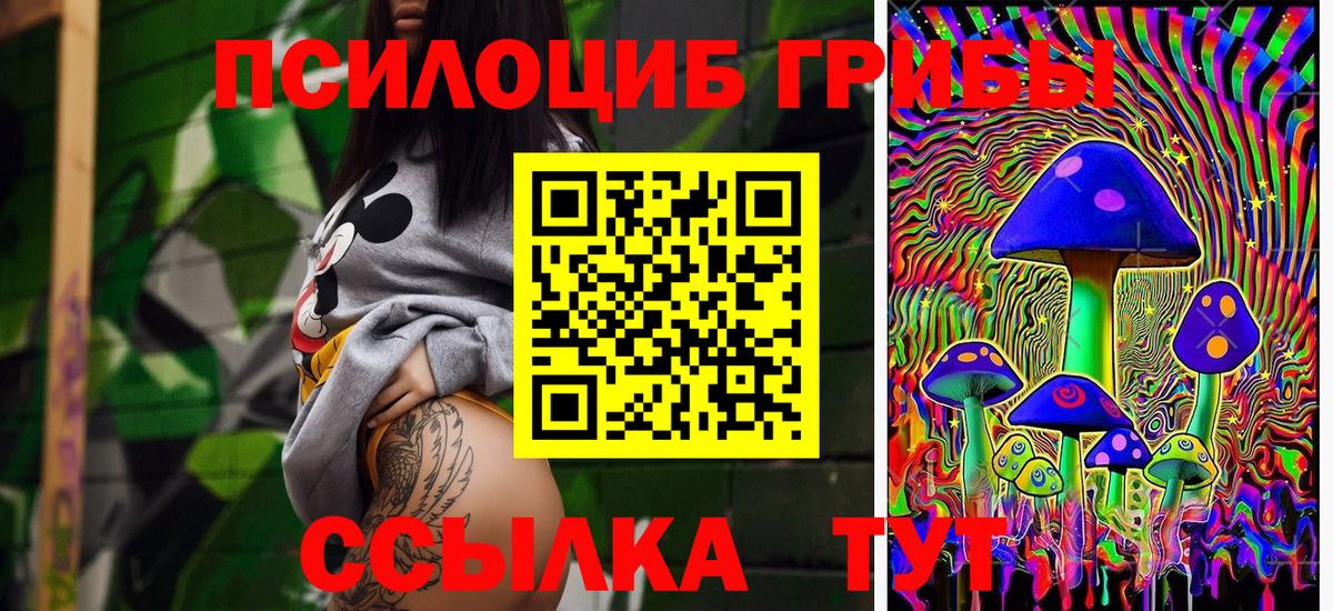 Галлюциногенные грибы Psilocybine cubensis Щёкино