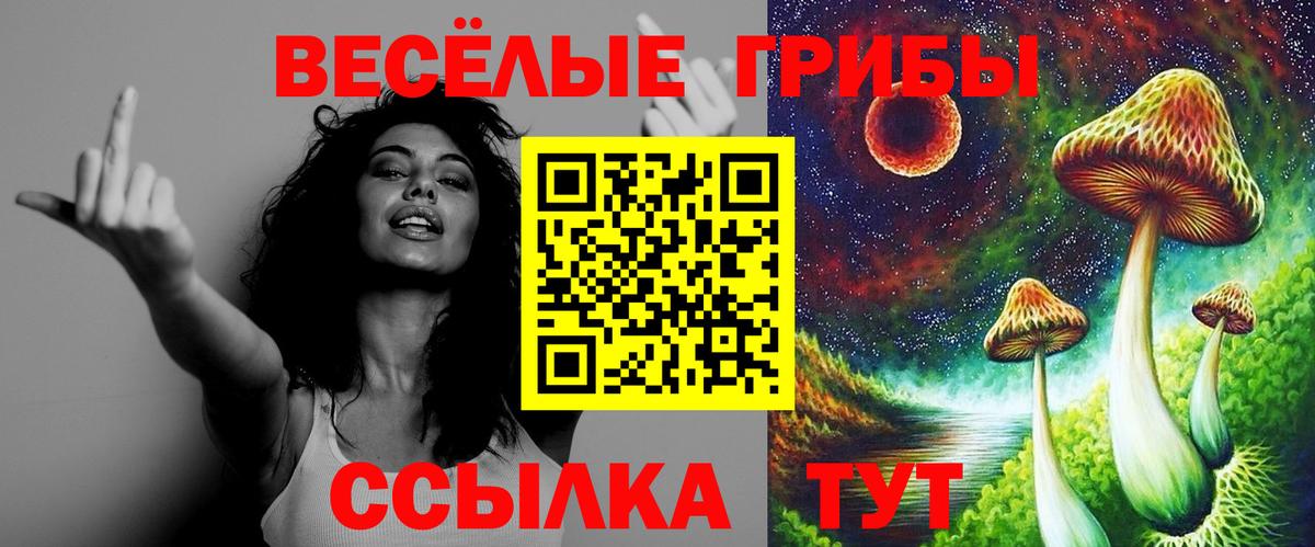 Щёкино  закладка  Вход с VPN  Галлюциногенные грибы ЛСД 